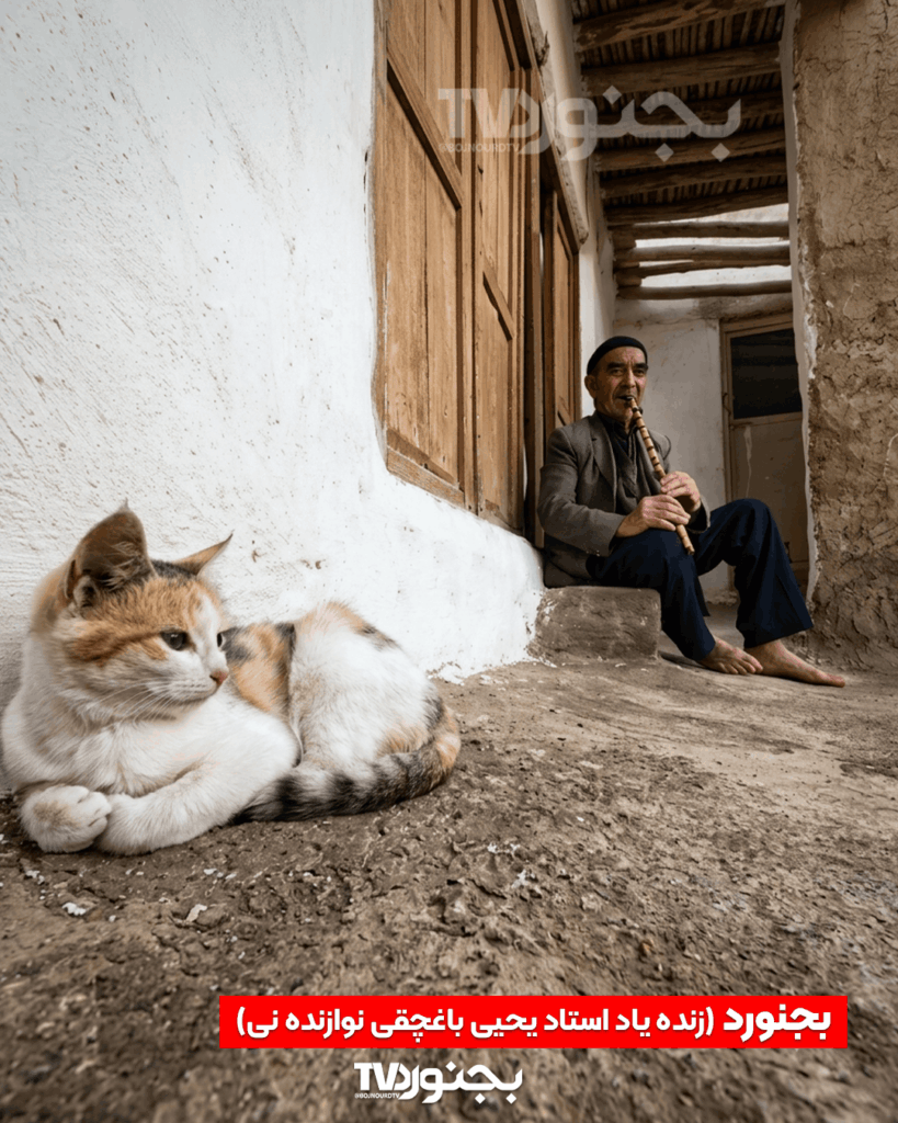 تصویر زنده‌یاد استاد یحیی باغچقی نوازنده نی بجنورد در حال نواختن ساز نی در فضای سنتی روستایی با حضور یک گربه